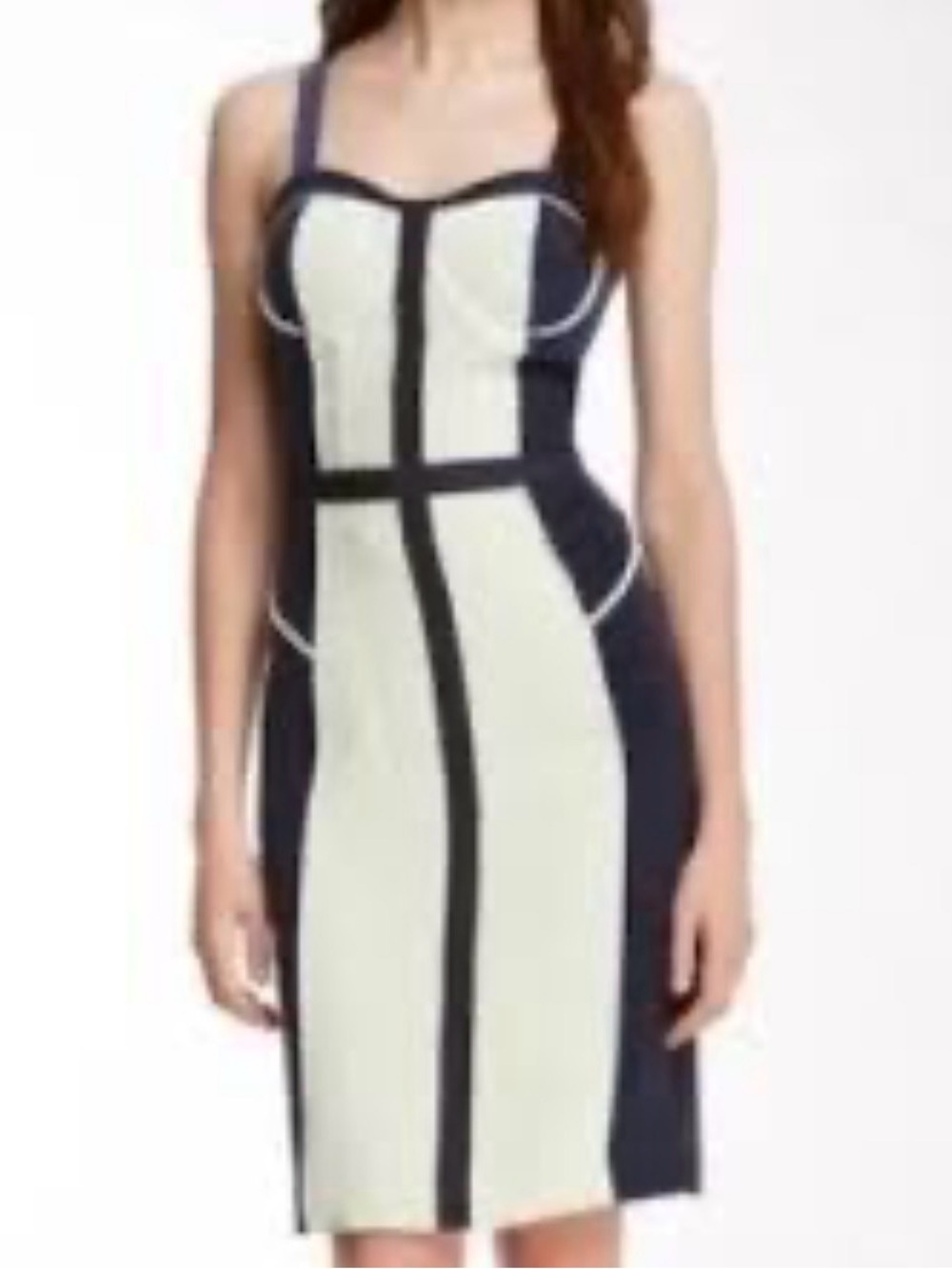 Rebecca Minkoff 100% Silk Bodycon Bustier Dress Size 2